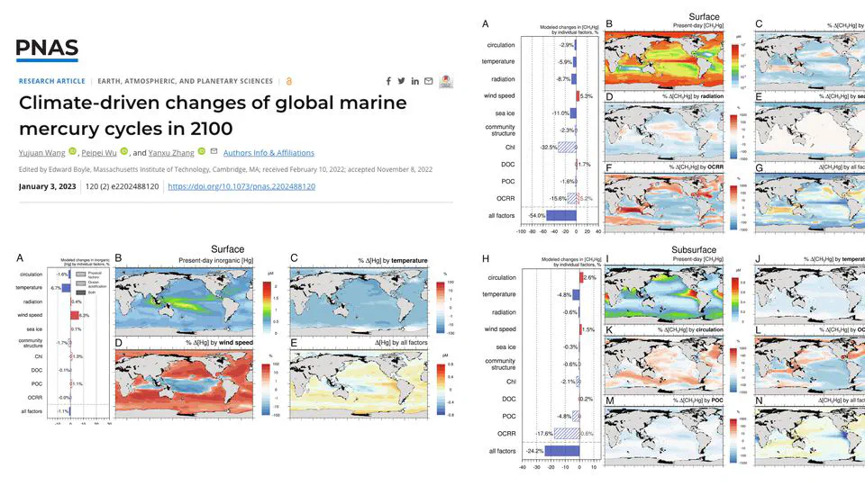 How will future climate change impact marine mercury cycling?